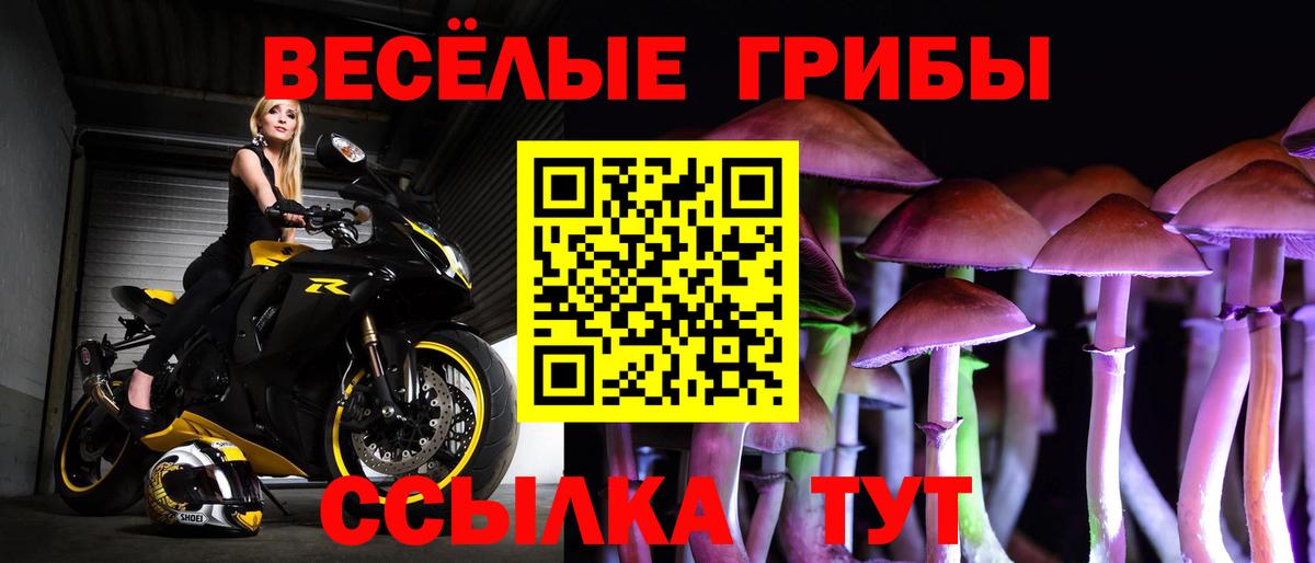 Сарапул  Галлюциногенные грибы Magic Shrooms  Вход с VPN 